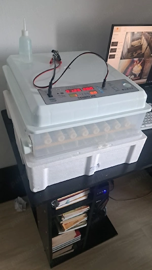 Incubator pui si gratare crestere pui