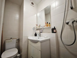 Apartament mobilat, cu aer conditionat, Gheorgheni - imagine 10