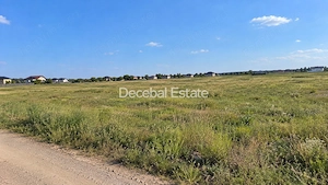 Teren 19397mp Dezmembrat in Loturi - Str. Primăverii Comuna Berceni - imagine 2