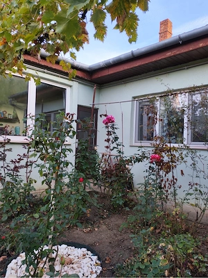 Proprietar vand casa cu teren in Lugoj - imagine 8