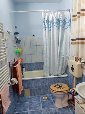 Proprietar vand casa cu teren in Lugoj - imagine 4