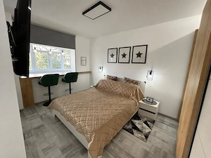 Titan 2 camere Lux | 6 m metrou | A doua inchiriere - imagine 8