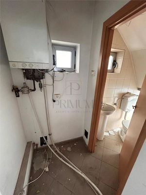 Spatiu comercial - amplasare exceelenta - 135 mp - zona Iosefin - imagine 10