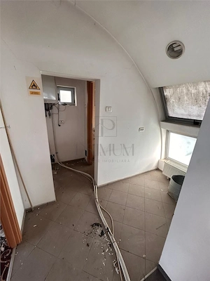 Spatiu comercial - amplasare exceelenta - 135 mp - zona Iosefin - imagine 9