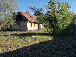 Teren intravilan 1.991 mp cu casă bătrânească de lemn în Stupinii Prejmerului - imagine 5