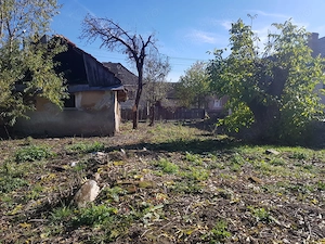 Teren intravilan 1.991 mp cu casă bătrânească de lemn în Stupinii Prejmerului - imagine 4