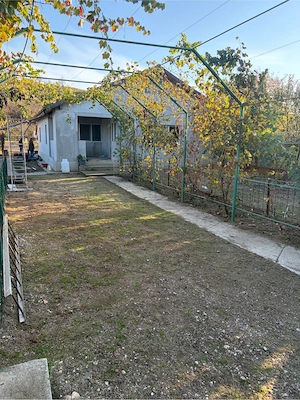 Casa  Leamna de jos  - imagine 5