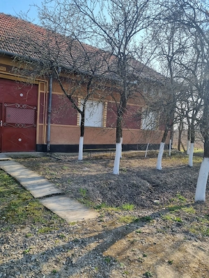 Vand casa in localitatea Somosches+ 2 gradini cu livada pe rod - imagine 2