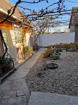 Vand casa in localitatea Somosches+ 2 gradini cu livada pe rod - imagine 3