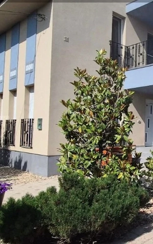 Oferta speciala, 10.000 EUR avans, rate pe un an, vila mobilata, la cheie, confort sporit in Sacalaz