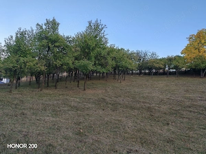 Grădină de vânzare într-o zonă liniștită. - imagine 3