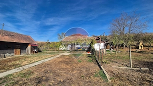 Casă renovată cu 3 hectare de teren | Valea Șurii - imagine 20