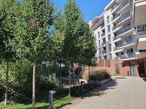 Apartament modern 2 camere, loc de parcare si boxa in subteran, Paltim - imagine 10