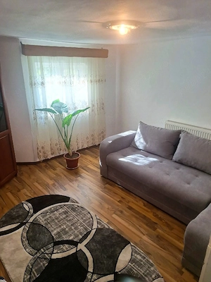 Vând proprietate cu 2 case, complet mobilate și utilate + terenuri și păduri - imagine 4