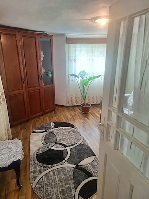 Vând proprietate cu 2 case, complet mobilate și utilate + terenuri și păduri - imagine 3