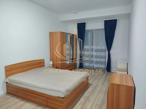 Apartament cu 1 camera decomandat DE INCHIRIAT - imagine 3
