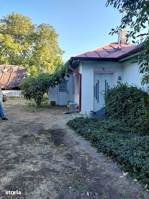 Teren Vrancea 9000 mp cu casă si vie - imagine 4