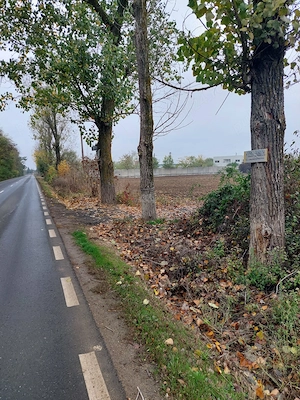 VÂND TEREN INTRAVILAN   3.000 MP   gaze, curent şi canalizare - imagine 7
