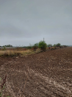 VÂND TEREN INTRAVILAN   3.000 MP   gaze, curent şi canalizare - imagine 10
