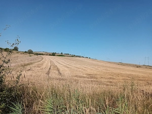 teren de vanzare