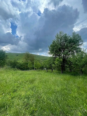 Teren intravilan 1.762 mp, Ciurila, livadă cu vedere la dealuri, construibil P+1E+M - imagine 4