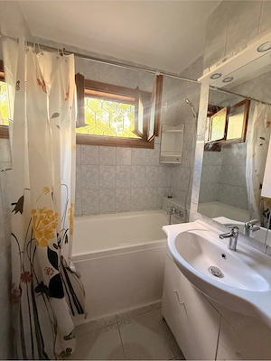 Închiriez apartament cu doua camere zona Podu Roş - imagine 4
