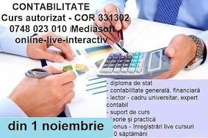 Curs Contabil COR 331302