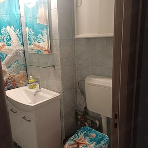 Închiriez 2 camere lângă Park Lake si Parc Alexandru Ioan Cuza  - imagine 9