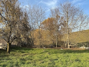 Teren 1000 mp pt casă în Salicea, capăt de stradă, utilități, gard