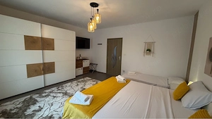 Inchiriez Regim Hotelier Buzias 170 Ron  Noapte