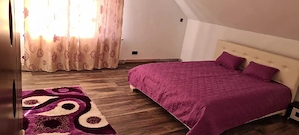 Casă modernă și spațioasă de vânzare în Brad (Poienița)   7 camere, izolate, curent trifazic, 820 mp - imagine 5