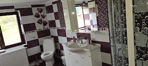 Casă modernă și spațioasă de vânzare în Brad (Poienița)   7 camere, izolate, curent trifazic, 820 mp - imagine 4