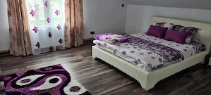 Casă modernă și spațioasă de vânzare în Brad (Poienița)   7 camere, izolate, curent trifazic, 820 mp - imagine 6