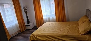 Casă modernă și spațioasă de vânzare în Brad (Poienița)   7 camere, izolate, curent trifazic, 820 mp - imagine 3
