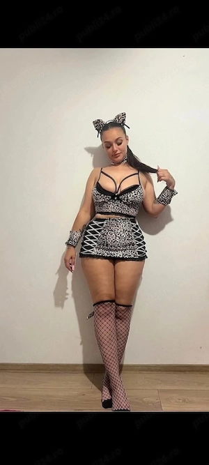 tranx model activa pasiv party siliconata cc