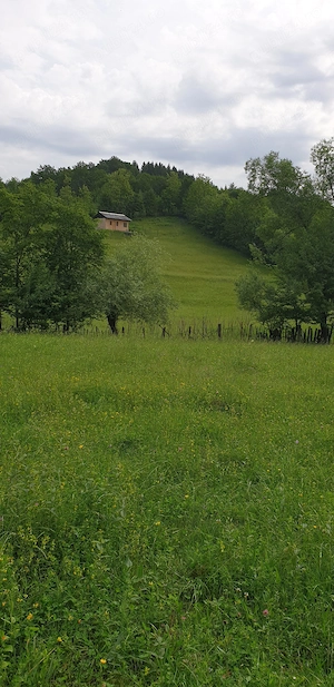 teren de vanzare 5000 mp. - imagine 5