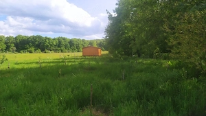 Teren de vanzare la marginea pădurii, aproape de Săliște, jud Sibiu