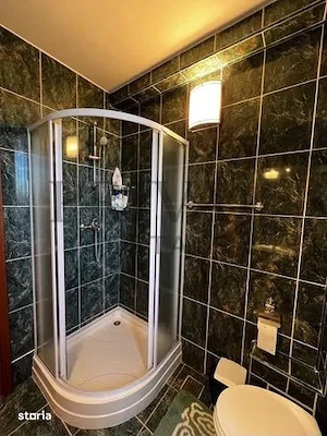Casa individuală 6 camere, 5 bai, 231 mp utili, teren 1200 mp, Buziaș - imagine 15