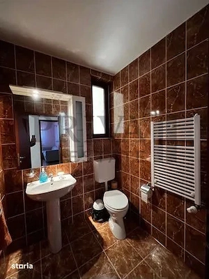 Casa individuală 6 camere, 5 bai, 231 mp utili, teren 1200 mp, Buziaș - imagine 13