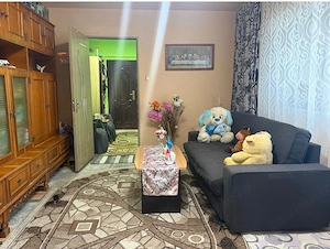 Apartament cu vedere directă la Dunăre  - imagine 3