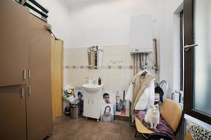 Hala Traian*Spatiu Comercial*Vitrina*Acces Direct  - imagine 5