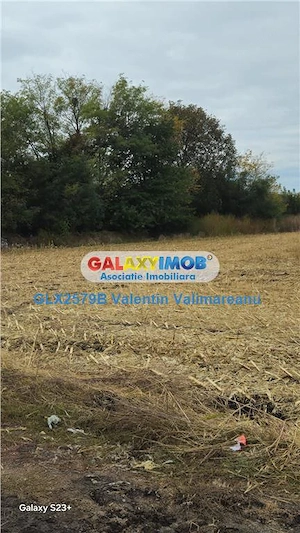 Teren Intravilan Livedea COD 320 - imagine 3
