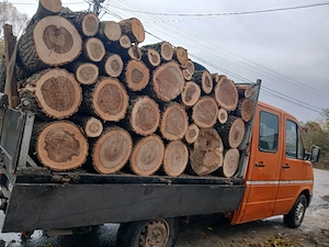 lemne de foc esenta tare bustean