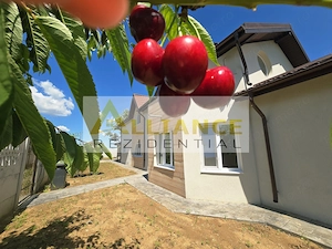 CASA INDIVIDUALA 6 CAMERE | 3 BAI | 3 DRESSINGURI | 550 MP | BERCENI - imagine 2
