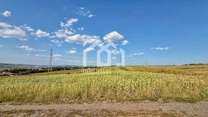 Oportunitate de investiție și dezvoltare – 11.600 mp | Jucu de Sus - imagine 5