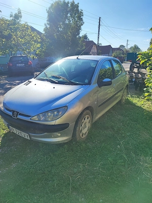Peugeot 206 din 2004