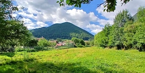 VÂNZARE PROPRIETATE ÎN ZĂRNEȘTI, BRAȘOV | CASĂ, UNITATE TURISTICĂ ȘI TEREN 2.987 MP - imagine 19