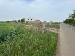 Comuna Dascalu - A0 - teren intravilan 9000 mp