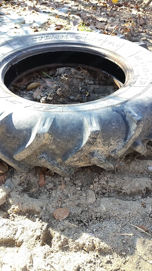 cauciucuri tractoras 6.00 r 16 - imagine 3