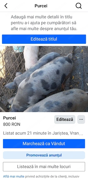 Vând  6 purceii  in jur de 40 de kg